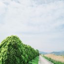생림도요생태공원 이미지