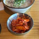 국수나무 군포삼성마을점 | 군포맛집 제주곤이칼국수 군포삼성마을점 후기 가격 주차 메뉴