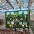 강우카 | 두바이&amp;모리셔스 6박 9일 신혼여행후기_모리셔스 1편❤️