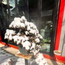 카페하늘뜨락 이미지