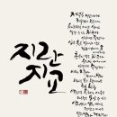 지란지교 이미지