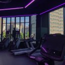 머스트 핏 이미지