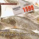 ROCKPOOL 이미지