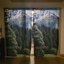 원불교 동해교당 이미지