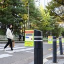 주정차-21 이미지