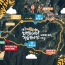 가을 숲으로 놀러가자 이미지