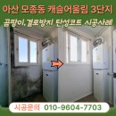 씨유아산모종캐슬2차점 | 아산 탄성코트 모종동 캐슬어울림 3단지 세탁실 대피실 곰팡이 제거 후 실리카 규조토 페인트 시공