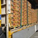 삼양운수 이미지