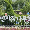 숲속 이미지