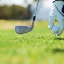 엘리트핏24 골프 이미지