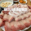 돼지네회집 | 부평맛집 찾다 발견! 작전역 맛집 돼지네 회포장마차 대방어+매운탕 가성비 횟집 솔직후기