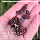 만나카페 & 넉넉한 샐러드 화천점 | 죄책감없는 식단템 무설탕 수제그래놀라 '만나그래놀라 '