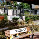 LH감전 꿈꾸는작은도서관 네이버블로그