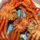 울진어패류 이미지