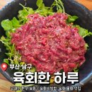 육회한 연어 | 부산 문현동 한우 육회 맛집 <육회한 하루> 후기