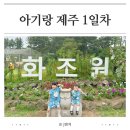 외할머니가 5관 | 제주도 아기랑 1일차 코스 고집돌우럭 화조원 하나로마트 대정농협