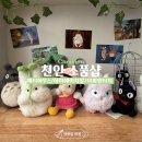 에이치알스토리 | [천안공방] 천안 신부동 소품샵 모음(제티하우스/하이에이치알/더피빈티지)