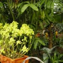 안산 식물원 이미지