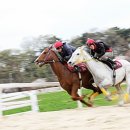 연사랑 목장 이미지