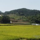 무주읍227 네이버블로그