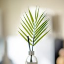 직장인 힐링 원예치료 이미지