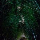 기장효사랑 | 3월에 하는 2️⃣0️⃣2️⃣6️⃣ 새해 포스팅 🌅