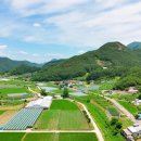 나들목부동산공인중개사사무소 이미지