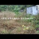 충주시 수안보면 산밑에대지 대지162평 평당40만원 이미지