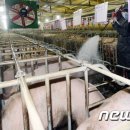 사양농장 이미지