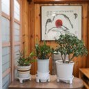 금강 민물매운탕 이미지