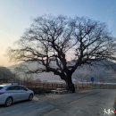성당천 이미지