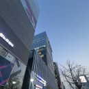신사역성형외과 콰트로리프팅 효과 통증 후기 확실히 티타늄이랑은 다르다