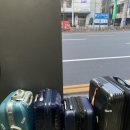 멍그니엘 애견호텔 수원점 이미지