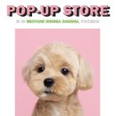 딩가댕가 이미지