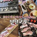 수정단대-D-1 | [단대동맛집] 와인, 위스키 콜키지 프리! 단대오거리 고기집 추천‘달달고기’