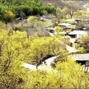 아름다운마을 이미지