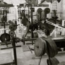 뉴바디짐휘트니스 이미지