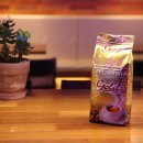 골드(Gold) 이미지