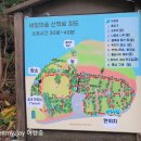 1코스 입구 | 제주 구좌읍 관광명소 비밀의 숲 주차, 입장료, 코스안내 &amp; 안돌오름 입구, 코스정보 후기
