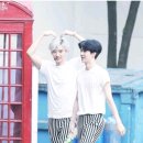 굿차이 이미지