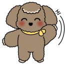 차전펫푸드 이미지