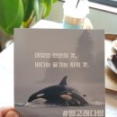 만인다방 이미지
