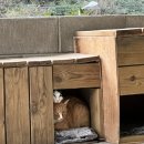 양양스테이 이미지