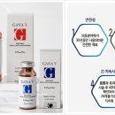 가나필아 이미지
