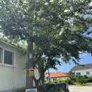 풍경민박 | 제주 함덕해수욕장 근처 아이와 다람쥐민박 다락민박 숙박후기