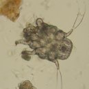 강북동물병원 이미지