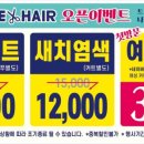 나이스헤어 - 북구 | 나이스헤어