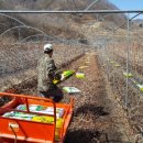 백두농장2 이미지