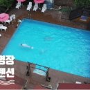 별그리고펜션 이미지