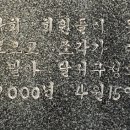 나무테크 이미지